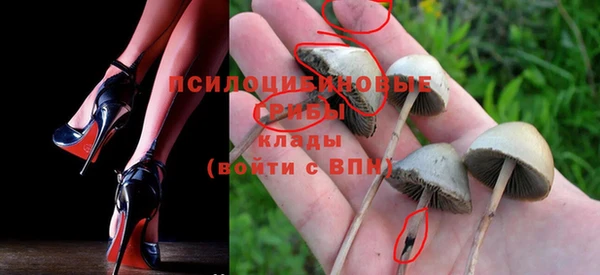 а пвп мука Горно-Алтайск